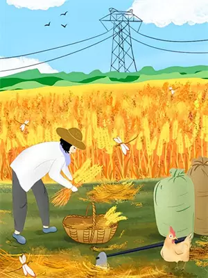 随江全文免费阅读