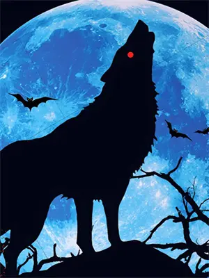 开局选择魔功，我能无限转世